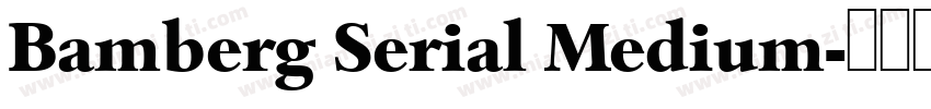 Bamberg Serial Medium字体转换